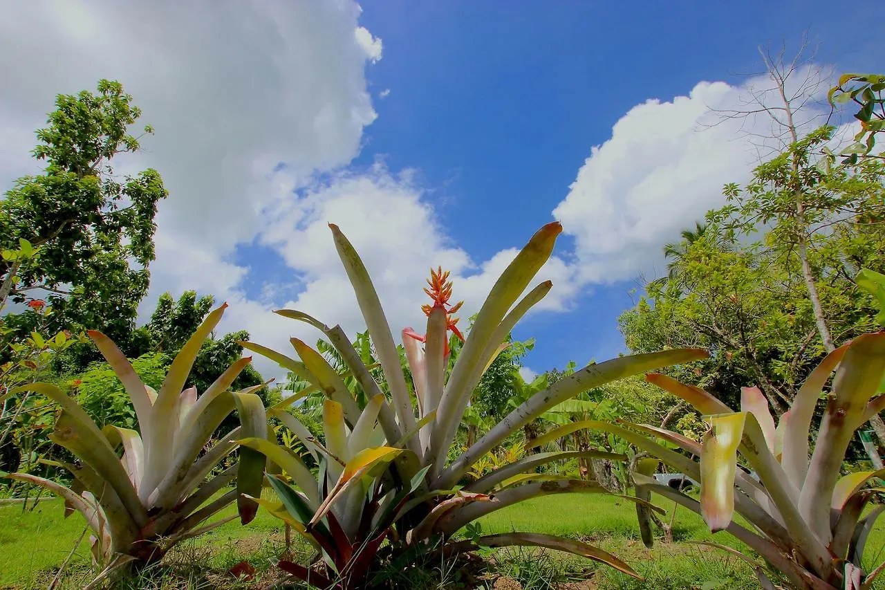 Salto Taino Rancho Hotel Higuey